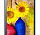 Karbonn releases Titanium S99 with Android 4.4 Kitkat
