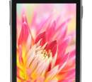 Lava releases Iris 405 Plus with Android 4.2