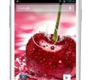 Lava Iris X1 Grand with 5inch display listed in official site