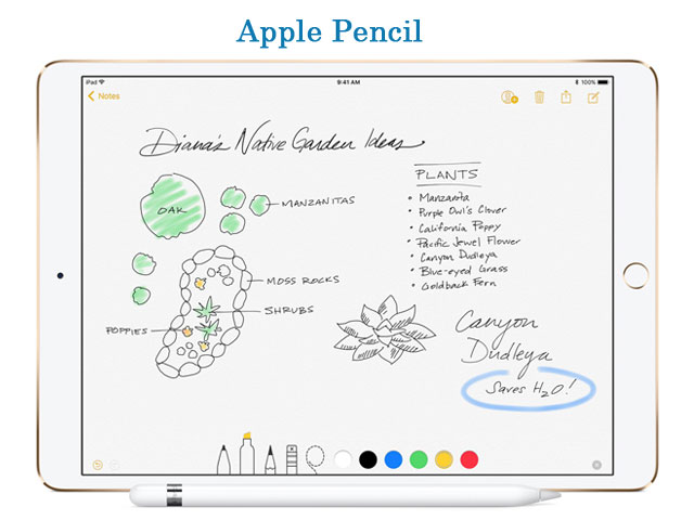 Apple Pencil